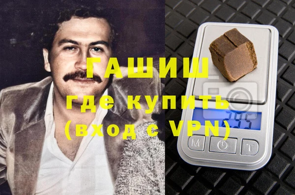 гашик Алексин