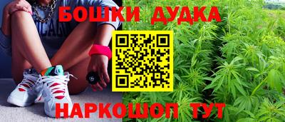 стафф Прокопьевск