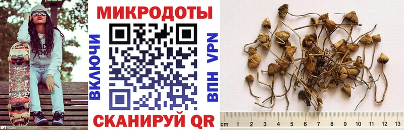 Галлюциногенные грибы Magic Shrooms  Оренбург 