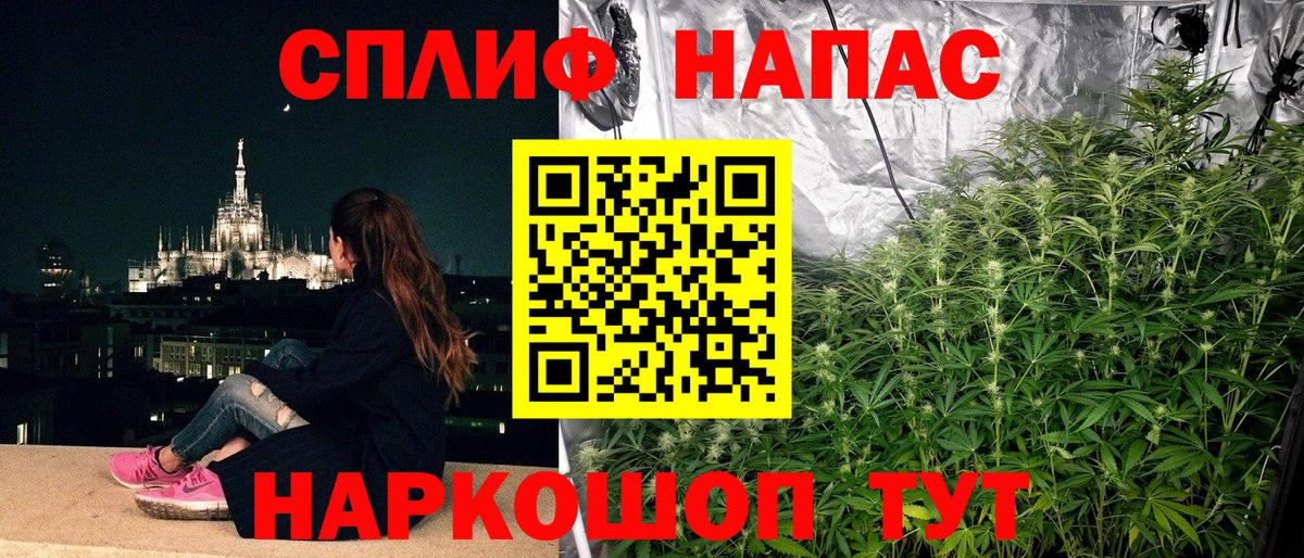 Оренбург  Шишки марихуана план  Бошки марихуана планчик  Каннабис VHQ  Бошки Шишки THC 21%  Вход с VPN 